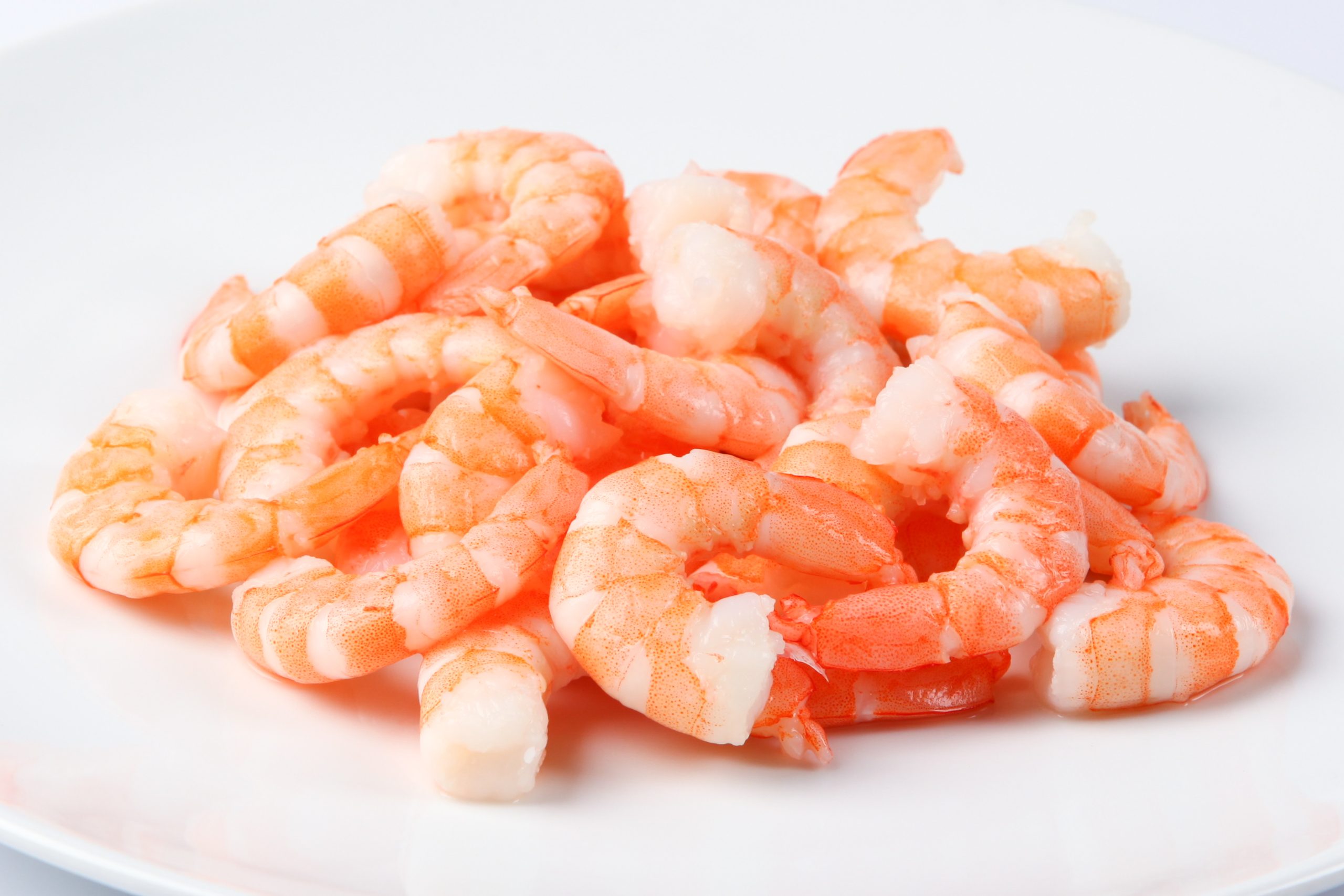 Shrimp Products
